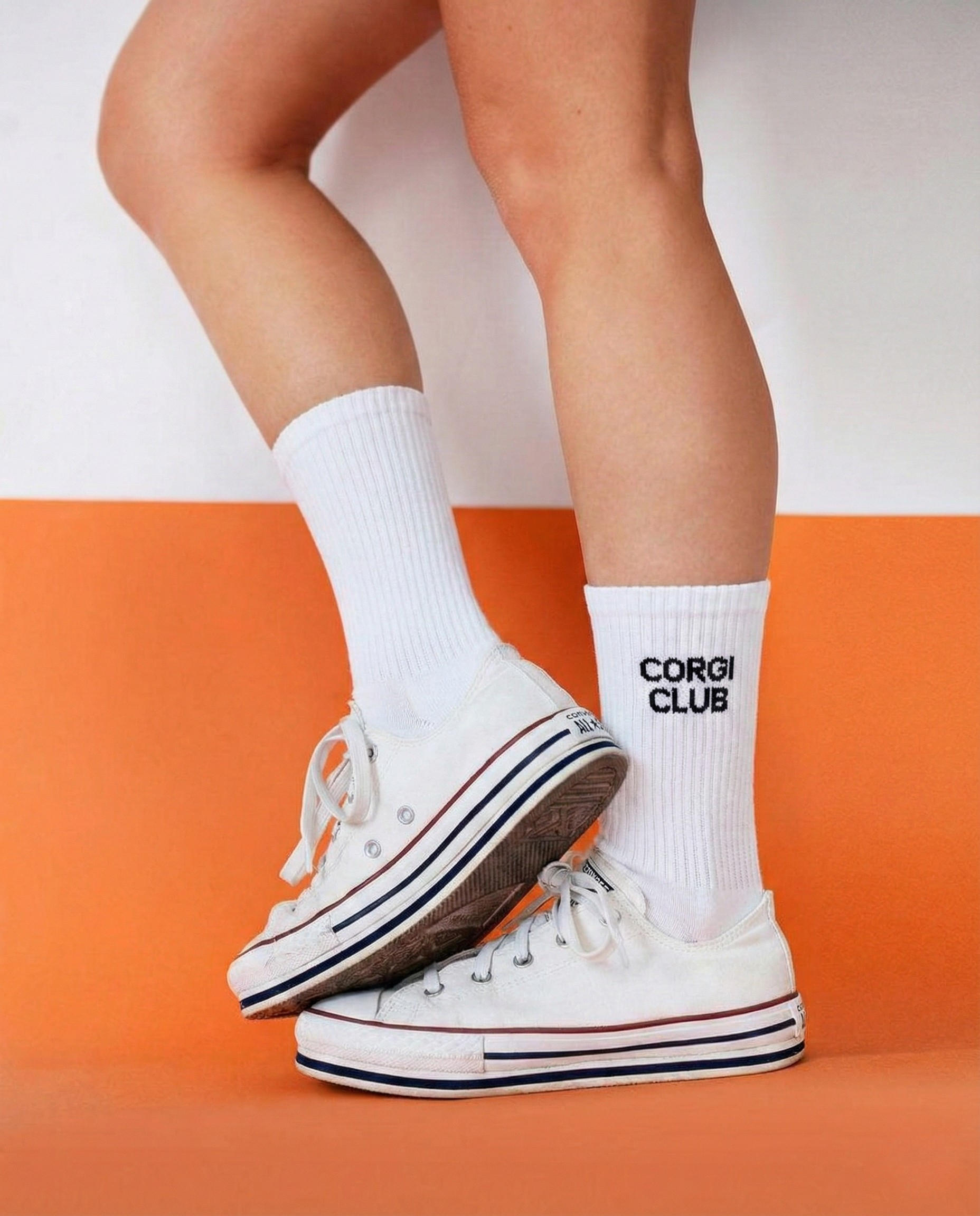 Chaussettes Corgi Club